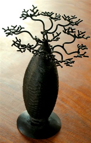 9162090 Baobab 10 cm