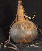 11160 Pokot gourd