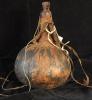 11160 Pokot gourd